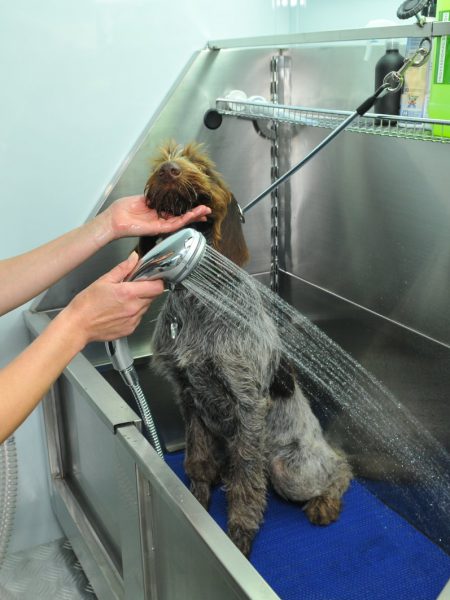 изображение_viber_2022-08-15_21-38-58-661